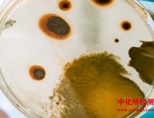 微生物量碳測(cè)試