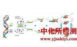 耐藥性測(cè)定