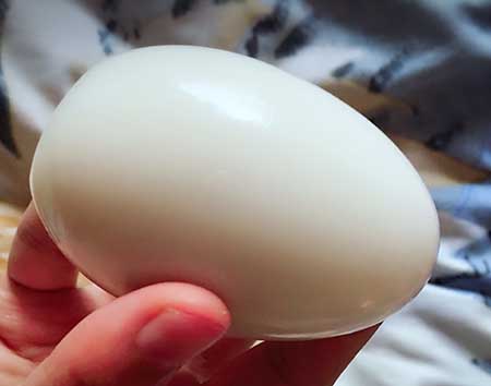 鵝蛋檢測