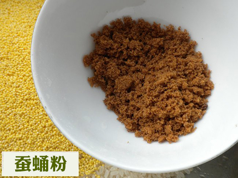 蠶蛹粉檢測