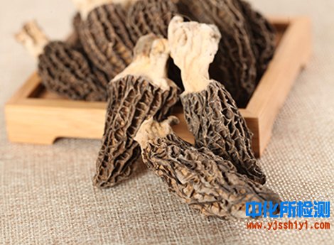 羊肚菌檢測