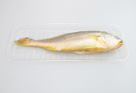 黃花魚檢測
