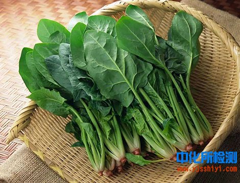 菠菜檢測