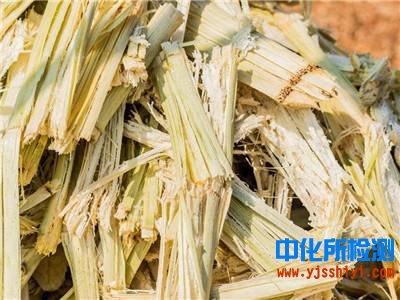 蔗渣成分分析