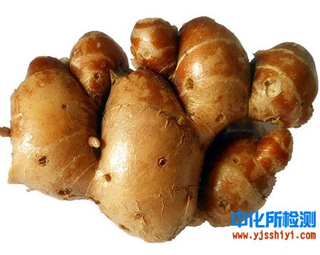 沙姜成分檢測