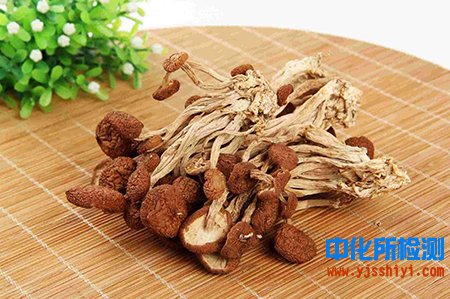 茶樹菇成分檢測
