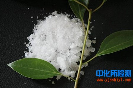 龍腦檢測(cè)