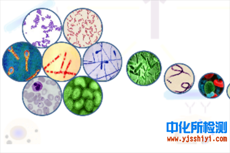 代謝產(chǎn)物檢測