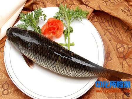 草魚成分檢測(cè)