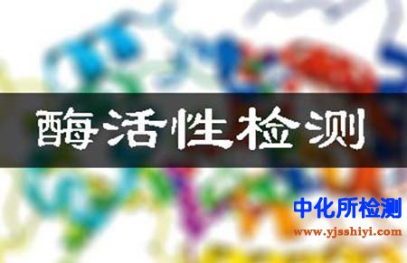 酶活性檢測(cè)
