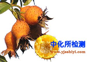 刺梨成分