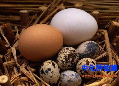蛋類檢測