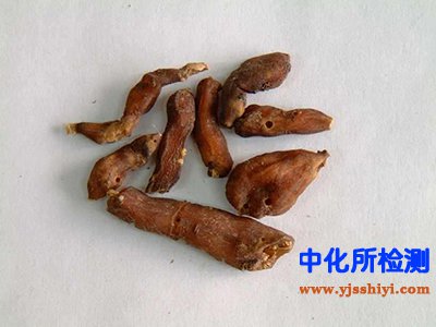 甘遂含量檢測