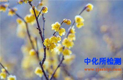 臘梅堿檢測
