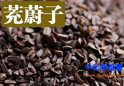 茺蔚子檢測