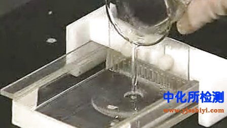 瓊脂糖凝膠檢測