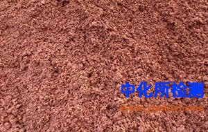 酵母培養(yǎng)物檢測