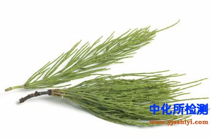 問荊檢測