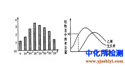 植物乙烯檢測