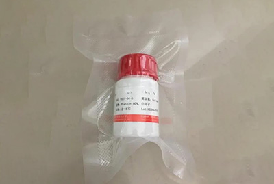 裂解液測定