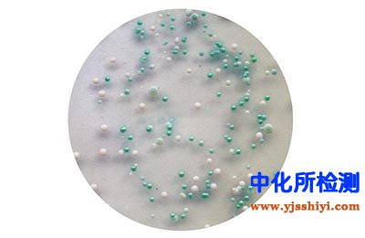 耐熱大腸菌群檢測